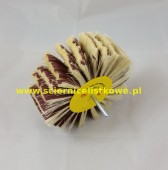 Ściernica listkowa Agawa/płótno trzpieniowa tarczowa 150x50x6 P060
